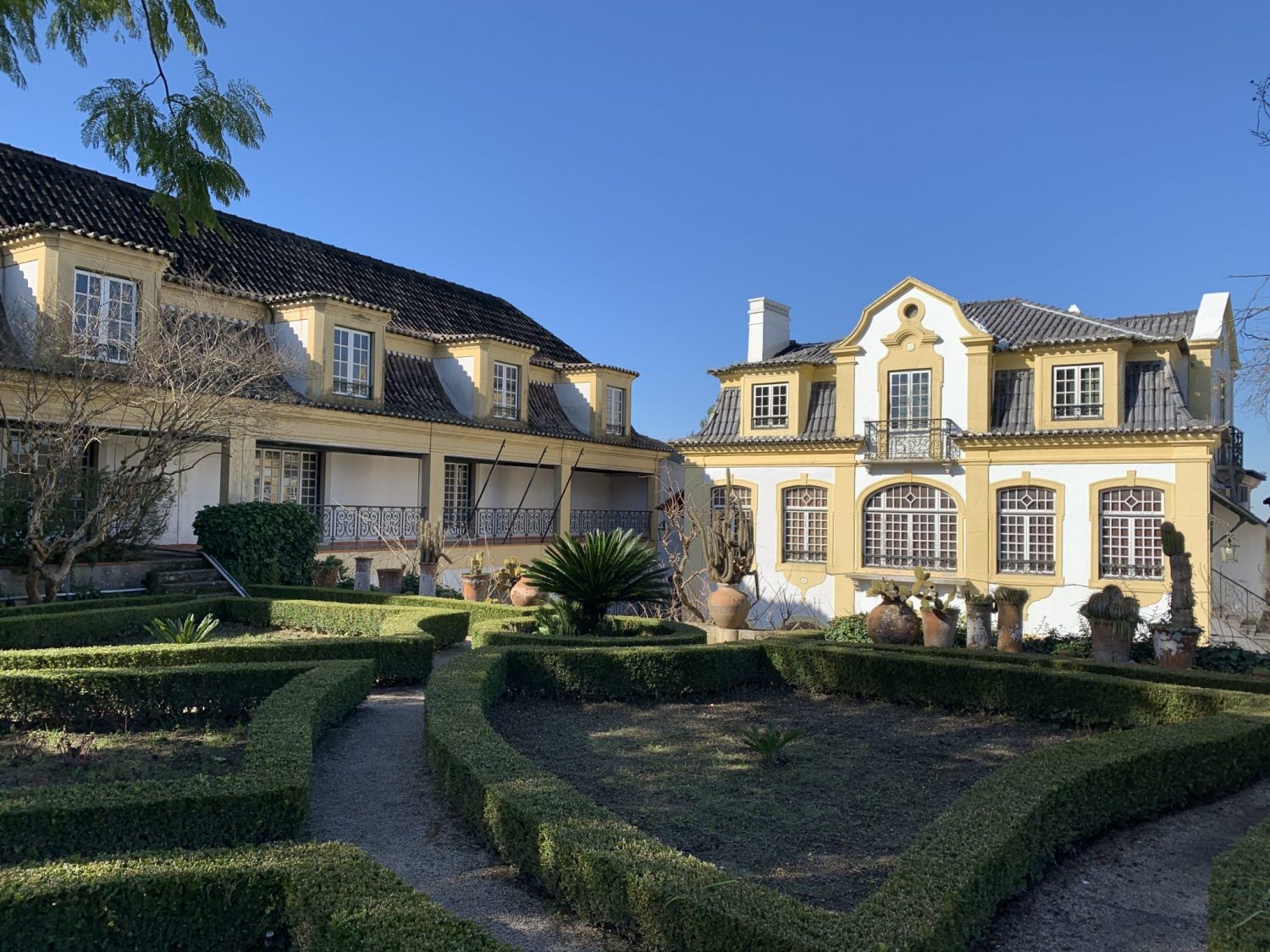 José Maria da Fonseca: um clássico da Península de Setúbal - Vinhos com